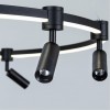 Подвесная люстра ARTE LAMP RING A2186SP-1BK
