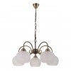 Подвесная люстра ARTE LAMP MARGO A9317LM-5AB