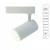 ARTE LAMP SOFFITTO A1720PL-1WH ARTE LAMP SOFFITTO A1720PL-1WH