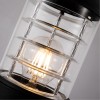 ARTE LAMP COPPIA A5217FN-1BK