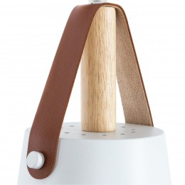 ARTE LAMP THOMAS A7032SP-1WH