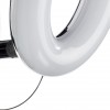 ARTE LAMP CIAMBELLA A8972AP-1CC