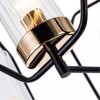 Потолочная люстра ARTE LAMP CELAENO A7004PL-5BK