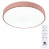 ARTE LAMP ARENA A2661PL-1PK