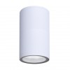 ARTE LAMP MISTERO A3302PF-1WH