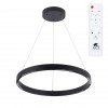 Подвесная люстра ARTE LAMP LAO A2189LM-1BK