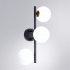 ARTE LAMP GEMINI A2243PL-3BK