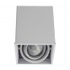 ARTE LAMP CARDANI PICCOLO A5942PL-1WH