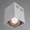 ARTE LAMP CARDANI PICCOLO A5942PL-1WH