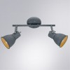 ARTE LAMP JOVI A1677PL-2GY