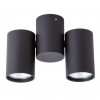 ARTE LAMP GAVROCHE A1511PL-2BK