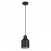 ARTE LAMP LARK A7073SP-1BK