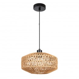 ARTE LAMP BRUSHWOOD A7087SP-1BK