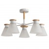Потолочная люстра ARTE LAMP TYLER A1031PL-5WH