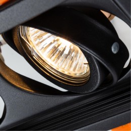 ARTE LAMP CANIS A6661PL-2BK