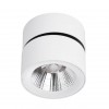 Divinare URCHIN 1295/03 PL-1