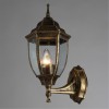 ARTE LAMP PEGASUS A3151AL-1BN