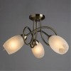 Потолочная люстра ARTE LAMP MUTTI A8616PL-3AB
