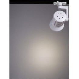 ARTE LAMP PIANTA A6118PL-1WH