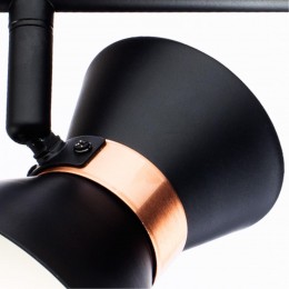 ARTE LAMP BALTIMORE A1406AP-2BK