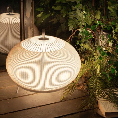 Divinare FIREFLY 1808/33 TL-50