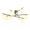 Потолочная люстра ARTE LAMP ALCOR A2224PL-8BK