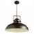 ARTE LAMP MARTIN A5213SP-1BR