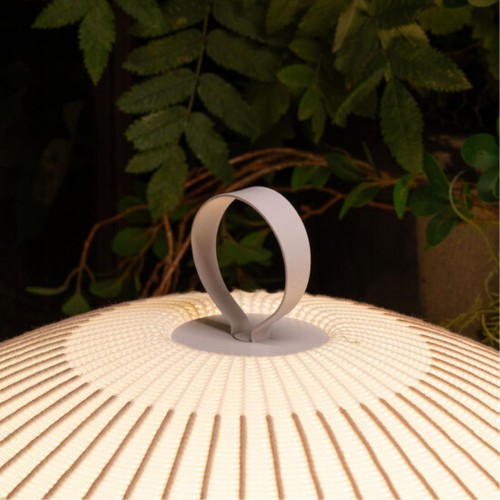 Divinare FIREFLY 1808/33 TL-50