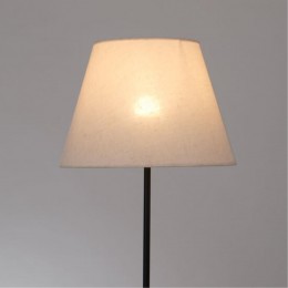 ARTE LAMP ALEA A5068PN-1BK