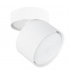 ARTE LAMP INTERCRUS A5549PL-1WH