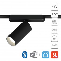 ARTE LAMP RAPID A2958PL-1BK