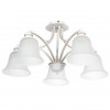 Потолочная люстра ARTE LAMP EMMA A2713PL-5WG