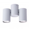 ARTE LAMP GAVROCHE A1511PL-2GY