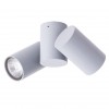 ARTE LAMP GAVROCHE A1511PL-2GY