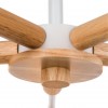Потолочная люстра ARTE LAMP MATTHEW A5032PL-5BR