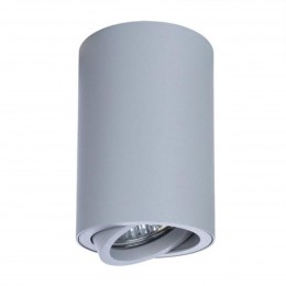 ARTE LAMP SENTRY A1560PL-1GY