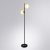 ARTE LAMP ALCOR A2224PN-2BK
