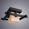 ARTE LAMP WOODS A8252PL-1CK