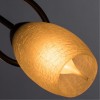 Потолочная люстра ARTE LAMP MUTTI A8616PL-3AB