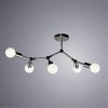 Потолочная люстра ARTE LAMP FLEX A6206PL-5CC