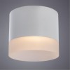 ARTE LAMP CASTOR A5554PL-1WH