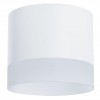 ARTE LAMP CASTOR A5554PL-1WH