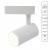 ARTE LAMP SOFFITTO A1710PL-1WH ARTE LAMP SOFFITTO A1710PL-1WH