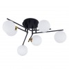 Потолочная люстра ARTE LAMP GEMINI A2243PL-6BK