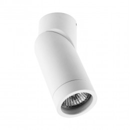 Светильник потолочный Crystal Lux CLT 030C WH