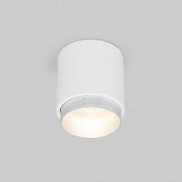 Накладной светодиодный светильник Cors 25032/LED 10W 4200K белый/серебро Elektrostandard