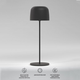Светильник светодиодный настольный Bitty черный TL70260 Elektrostandard