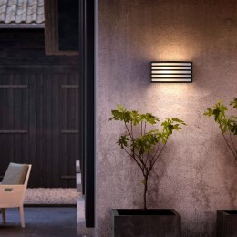 Уличный настенный светильник 1409 TECHNO чёрный Elektrostandard