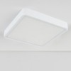 Накладной светодиодный светильник DLS034 18W 4200K Elektrostandard