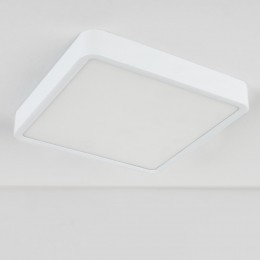 Накладной светодиодный светильник DLS034 18W 4200K Elektrostandard